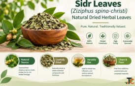 Organic Sidr Leaves Powder Ziziphus Spina-Christi Powder