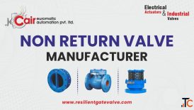 Cast Iron Non Return Valve Manufacturer in India