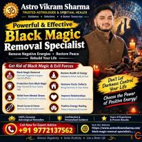 Black Magic Removal Specialist in Jaipur Astro Vikram Sharma