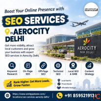 Boost Your Online Visibility with SEO Services in Aerocity Delhi