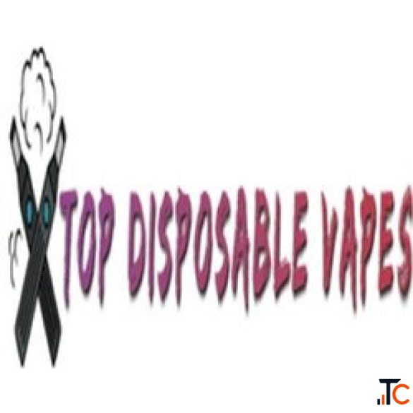 Top Disposable Vapes
