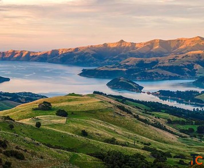 Memorable Akaroa Tour From Christchurch Cheeky Kea Travel