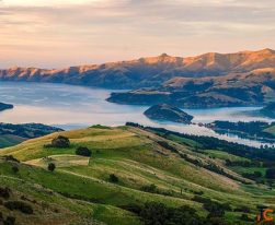 Memorable Akaroa Tour From Christchurch Cheeky Kea Travel