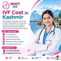 IVF Cost in Kashmir