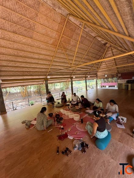 5-Days Sound Healing Meditation Teacher Training Level-1 in Mysore