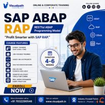 SAP ABAP RAP Online Training SAP ABAP Course Visualpath