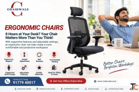 Buy Ergonomic Office Chairs Online in Bangalore