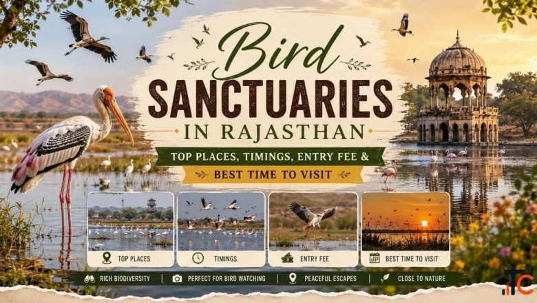 Bird Sanctuaries in Rajasthan A Nature Lover's Guide
