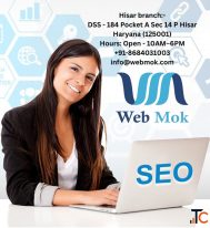 Digital Marketing Training Courses Certification in Hisar