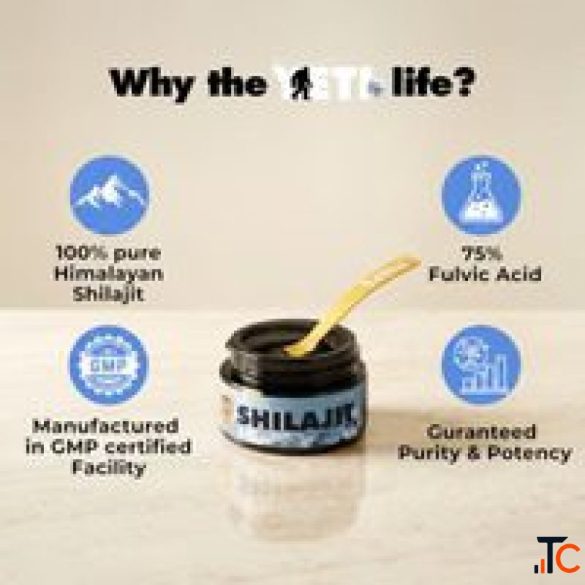 Shilajit and Diabetes What Should You Consider