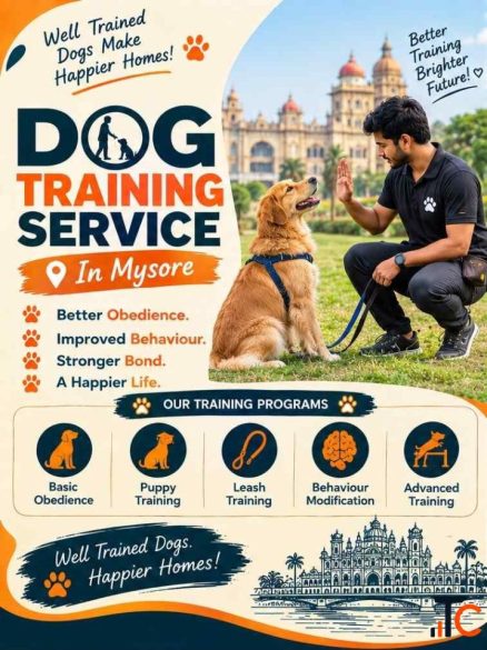 Dog Training Service in Mysore