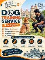 Dog Training Service in Mysore