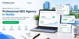 SEO Company In Noida Powerful SEO That Builds Online Authority