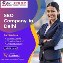 SEO Company in Delhi