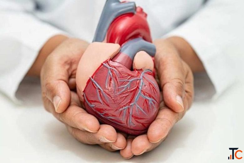 Best Heart Specialist in Salem - Emergency Cardiologist
