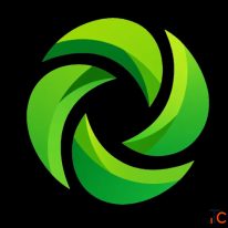 Linkup Web - Web Development Company in Noida