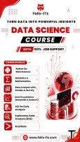 Data Science Course with 100 Job Support Felix-ITS