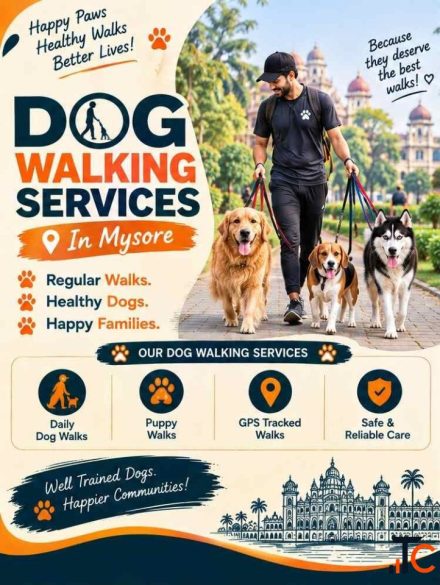 Dog Walking Services in Mysore
