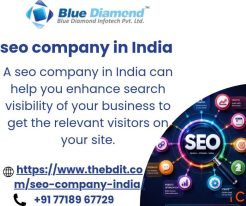Top SEO Company in India for Sustainable Online Growth