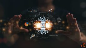 Content Marketing Services to Boost Brand Authority