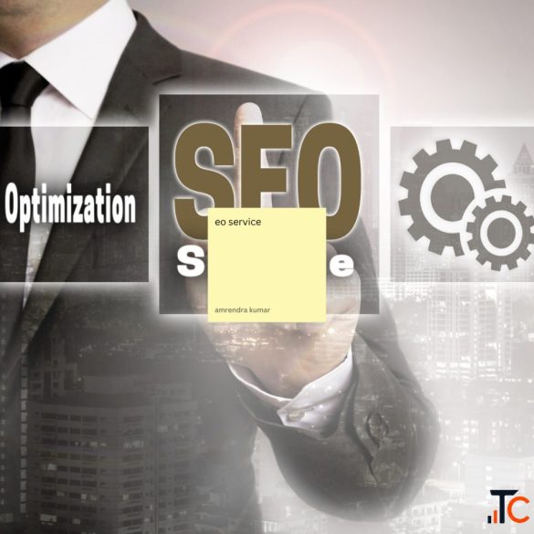 SEO services in Darbhanga