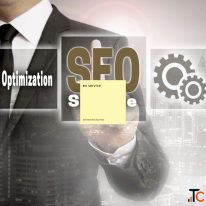 SEO services in Darbhanga