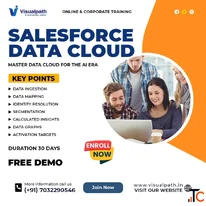 Master Data Cloud Salesforce Training Hands-On Projects