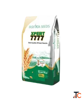 Buy Xpert 7777 - High Yield Wheat Seeds Online in India