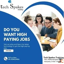 It training Institute Mahendergarh