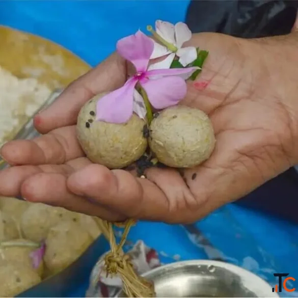 Pind Daan Puja in Gaya Ji