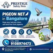 Pigeon net in bangalore