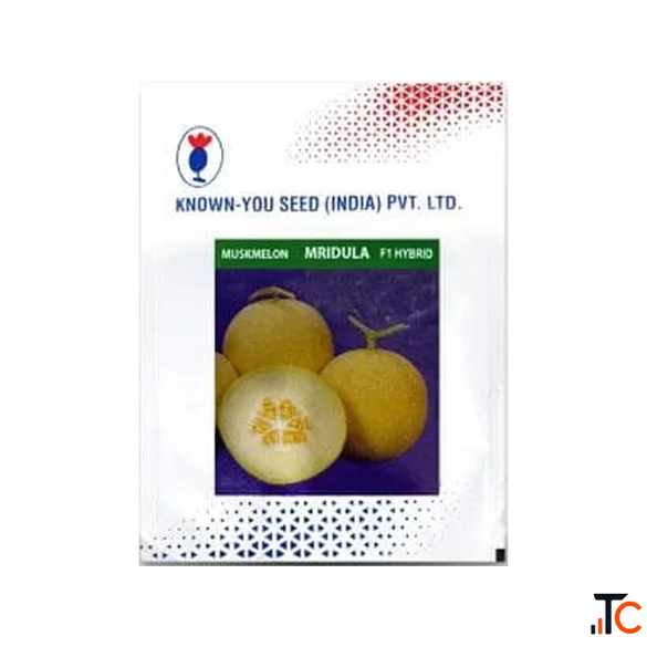 Mridula Hybrid Muskmelon Seeds Online