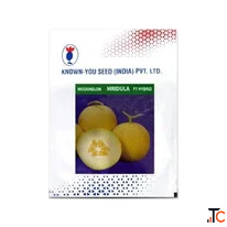 Mridula Hybrid Muskmelon Seeds Online