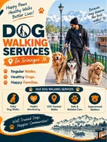 Dog Walking Services in Srinagar JK