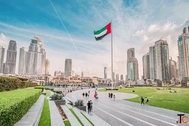 Your Trusted Legal Partner in the UAE