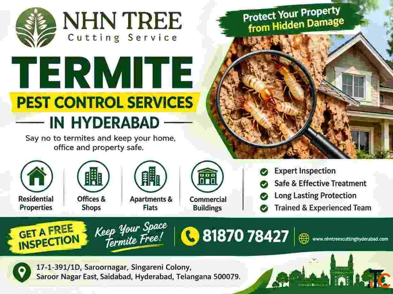 Termite Pest Control Services in Hyderabad