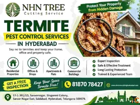 Termite Pest Control Services in Hyderabad