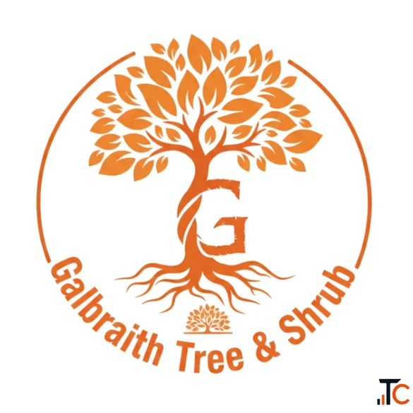 Emergency Tree Service for Quick Response and Safer Properties