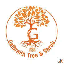 Emergency Tree Service for Quick Response and Safer Properties