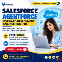 Salesforce Agentforce FDE Course Online Free Demo