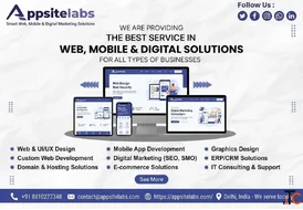 Website Developers in Delhi for Responsive SEO-Friendly Websites