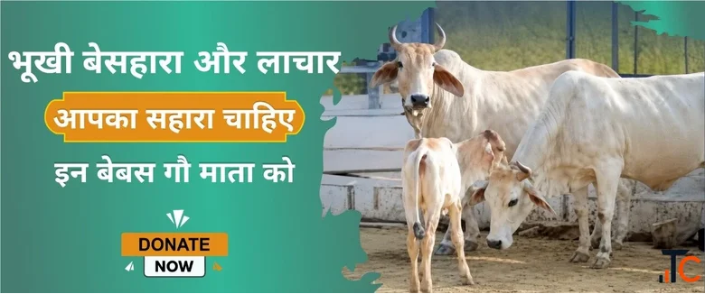 Help Create a Safe Shelter for Gau Mata and Support Cows with Medical Treatment