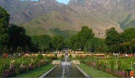 Srinagar Delights Tour