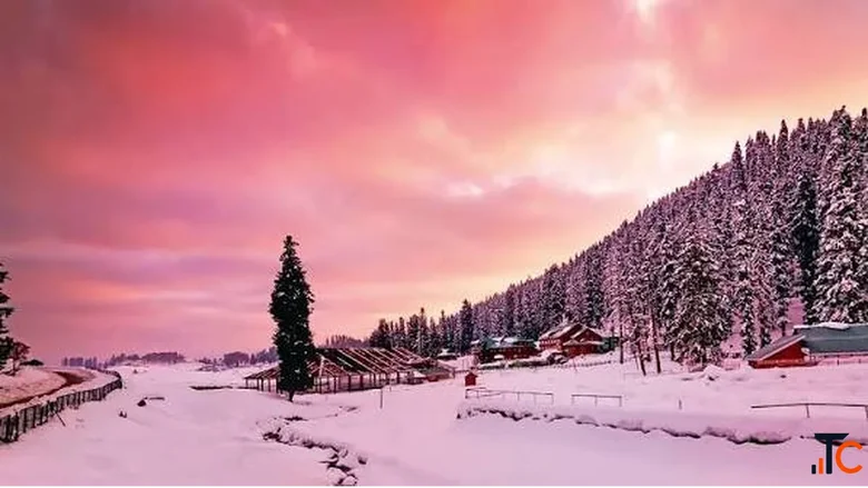 Splendid Hues of Kashmir