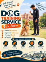 Dog Training Service in Jaipur