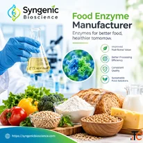 Food Enzyme Manufacturer Understanding Production Quality Control and Application