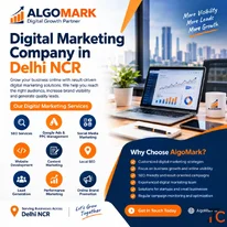 Digital Marketing Company in Delhi NCR