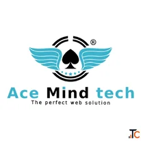 Website Development Company in Vasundhara Acemind Technology