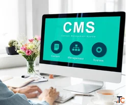 Strato CMS Development Services for Scalable Websites