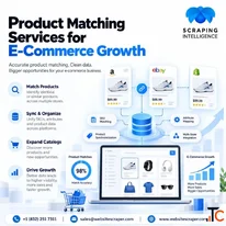 Product Matching Services AI-Powered Product Data Matching